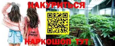 индика Комсомольск-на-Амуре